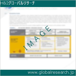 グローバルリサーチ調査レポートのイメージ